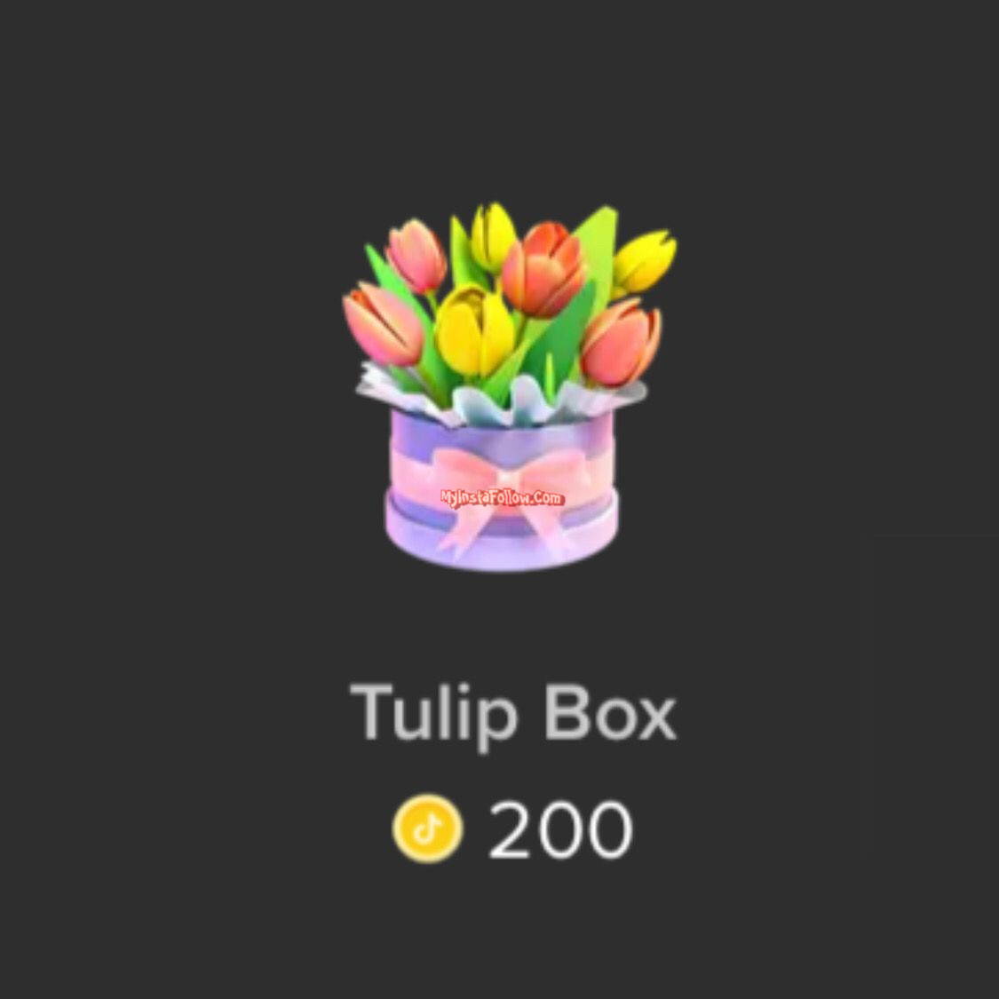 Tulip Box Tiktok Gift